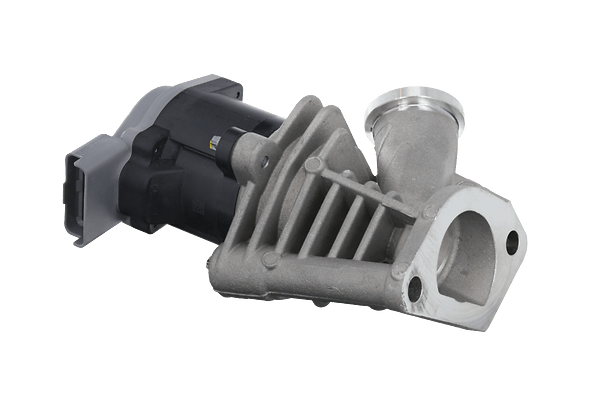 Image EGR Valves for LCVs