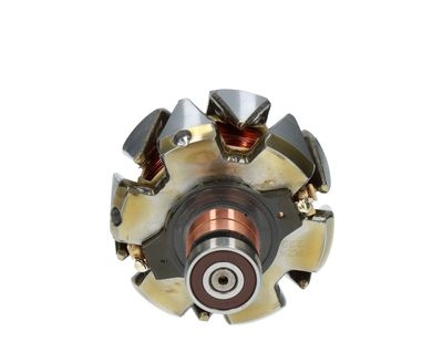 Rotor, alternator