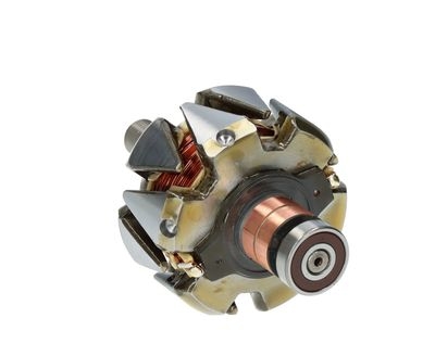 Rotor, alternator