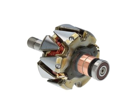 Rotor, alternator