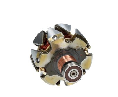 Rotor, alternator