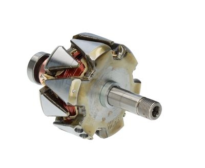 Rotor, alternator