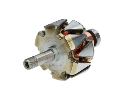 Rotor, alternator
