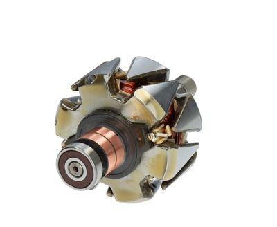 Rotor, alternator