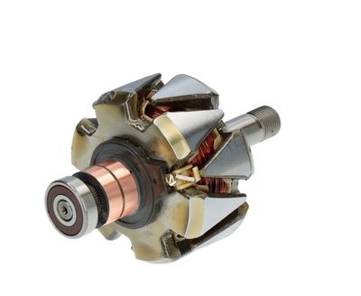 Rotor, alternator